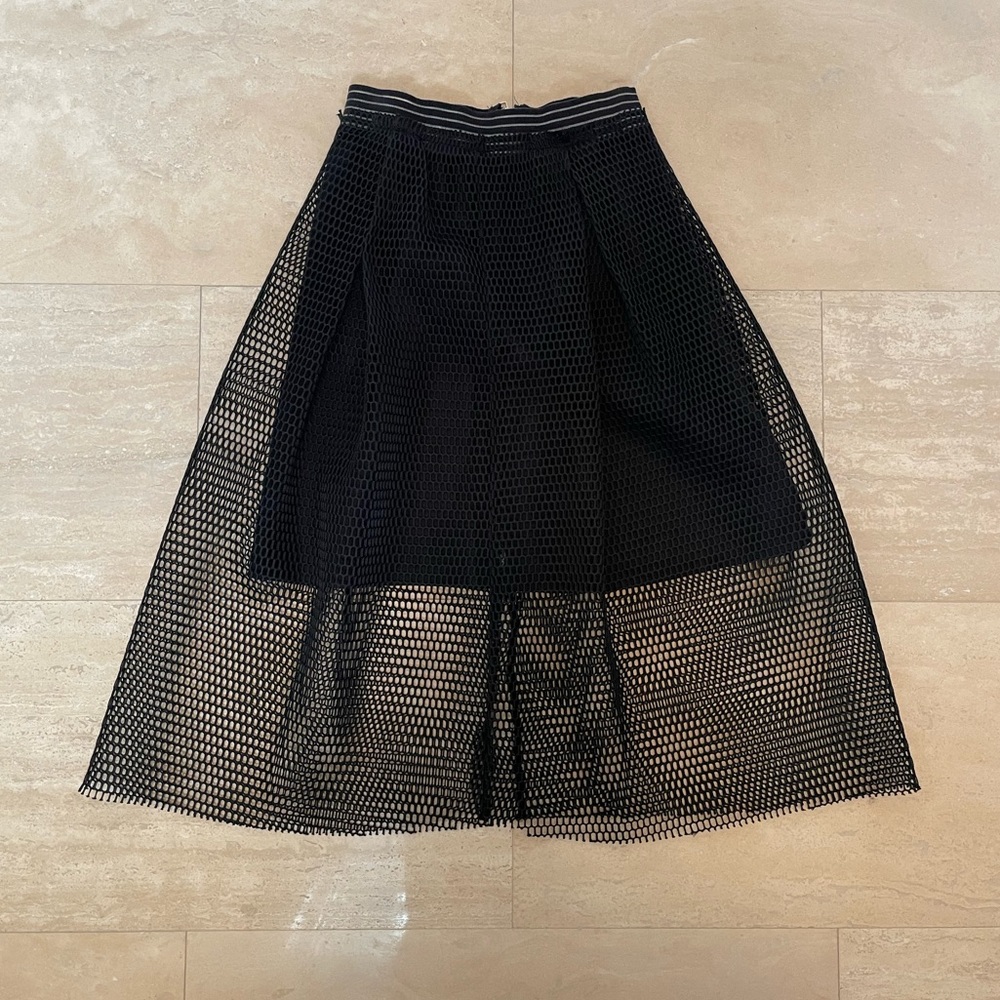 Unique skirt with netting